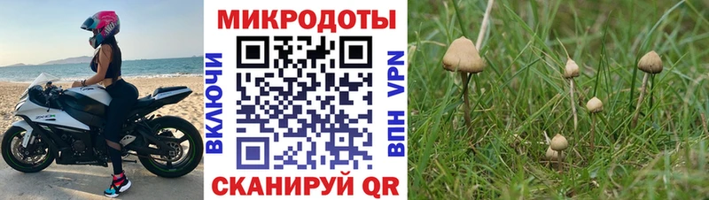 Псилоцибиновые грибы мухоморы  Городовиковск 